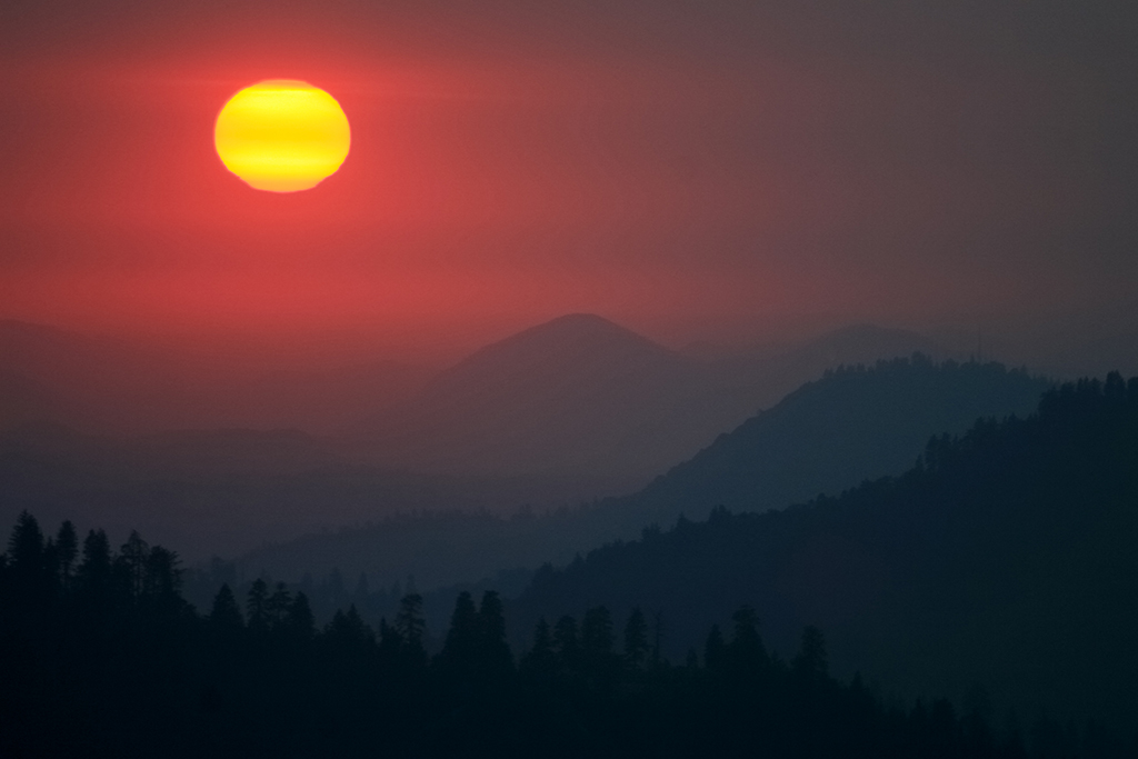 07-02 - 25.JPG - Sequoia National Park, CA